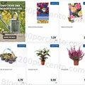 01 Promoções-Descontos-41823.jpg